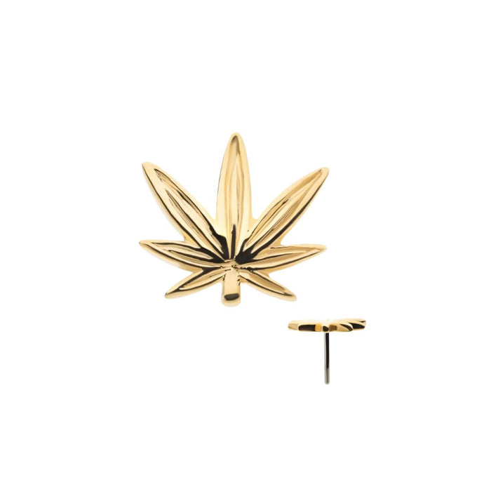 14K Gold Threadless Weed Leaf 420 Earring with Titanium Flat Back Earring