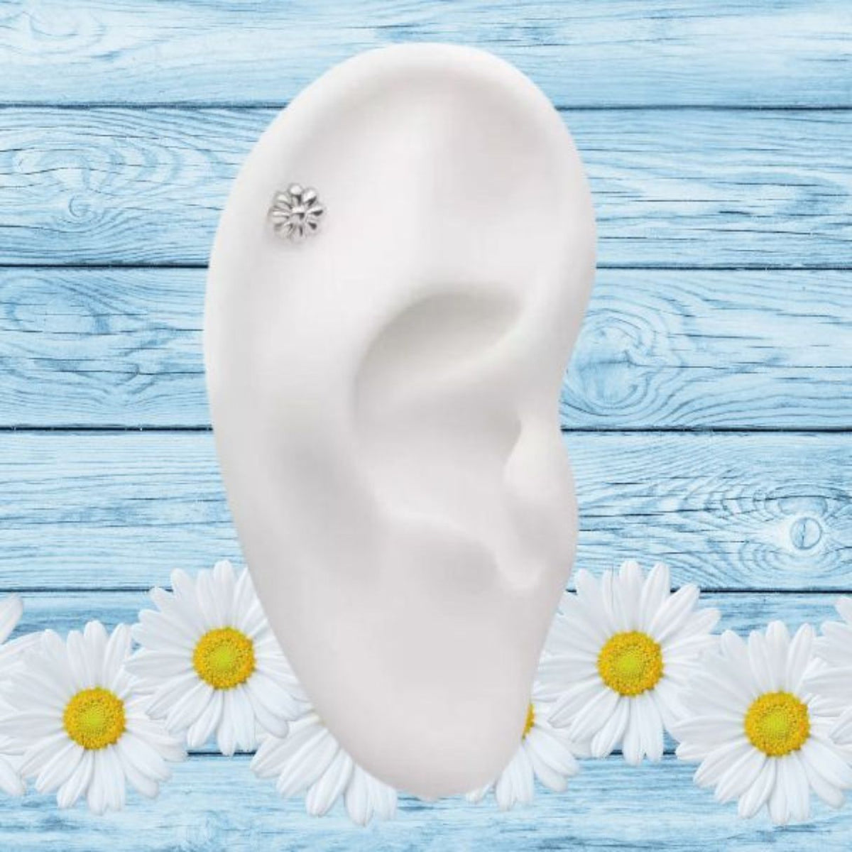 Titanium Threadless Push In Flat Back Puffy Daisy Flower Earring