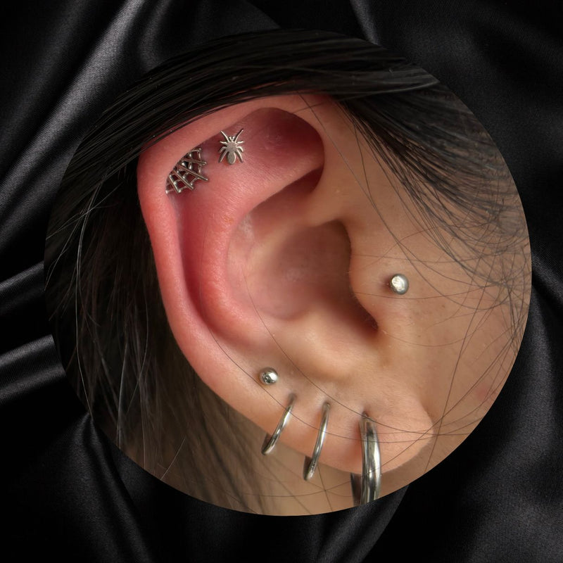 Titanium Threadless Push In Flat Back Spider Earring