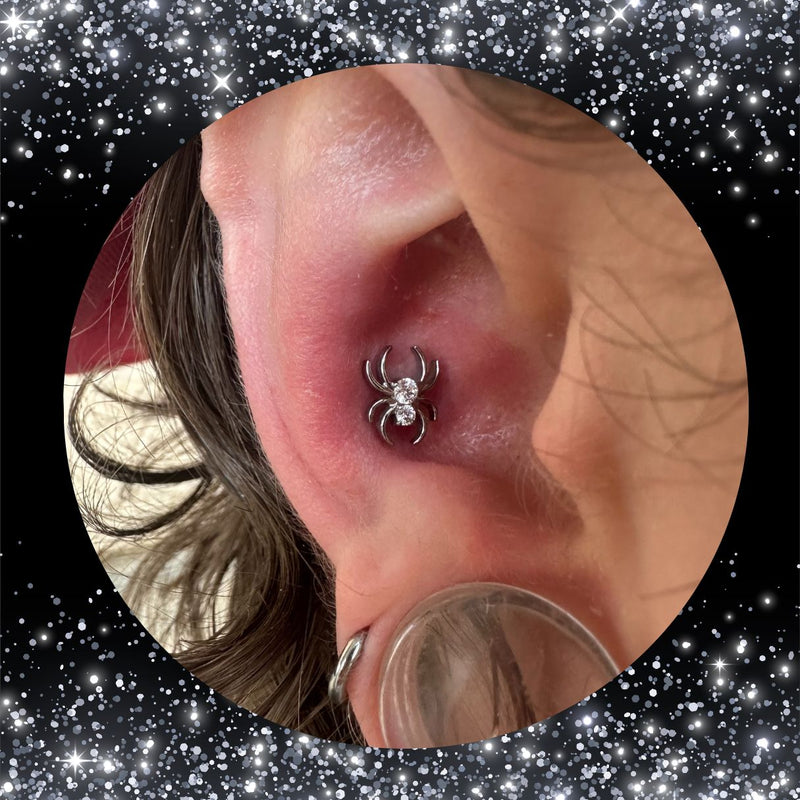 Titanium Threadless Push In Flat Back CZ Spider Earring